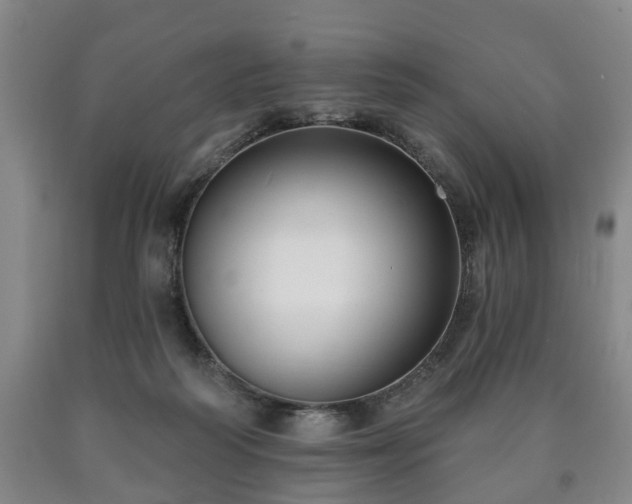 X0000090730218200707271411