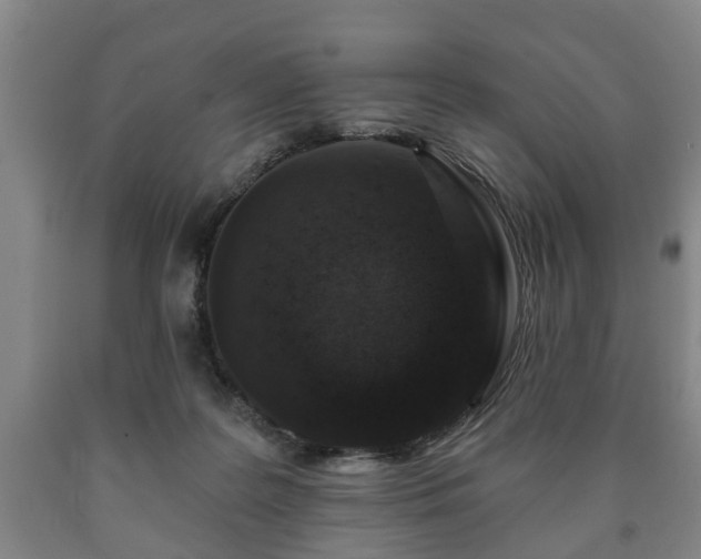 X0000090730219200707271411