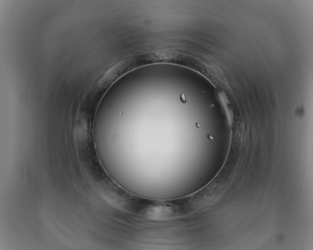 X0000090730220200707271411