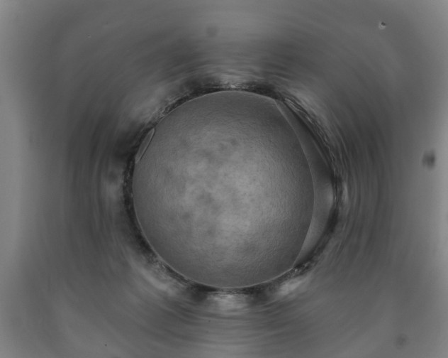 X0000090730221200707271411