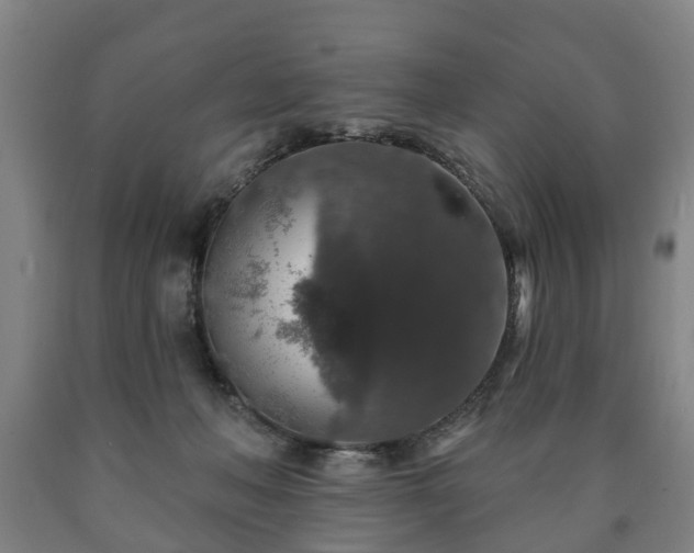 X0000090730222200707271411