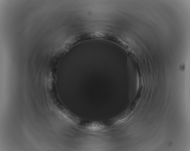 X0000090730223200707271411