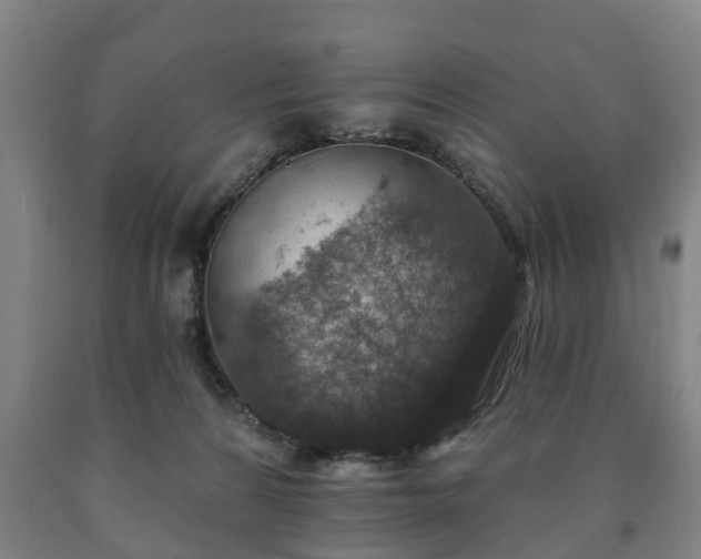 X0000090730224200707271411