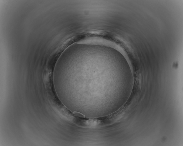 X0000090730225200707271411