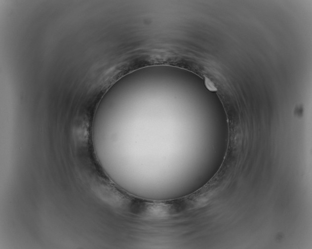 X0000090730226200707271411
