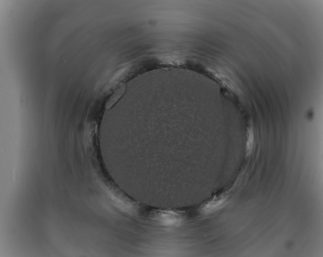 X0000090730229200707271410