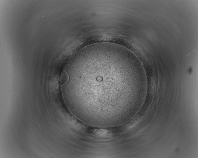 X0000090730230200707271410
