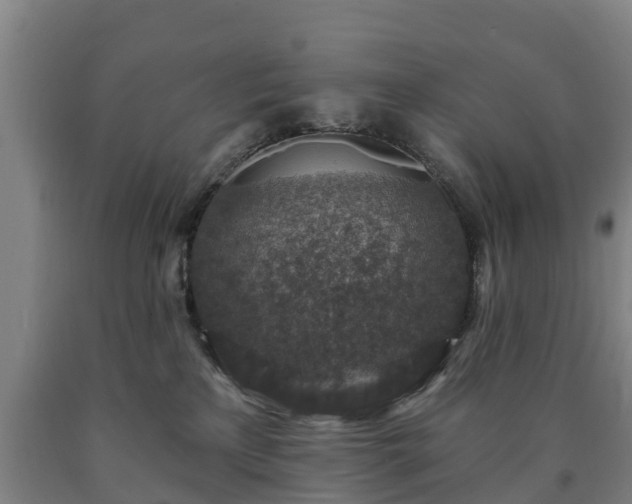 X0000090730233200707271410