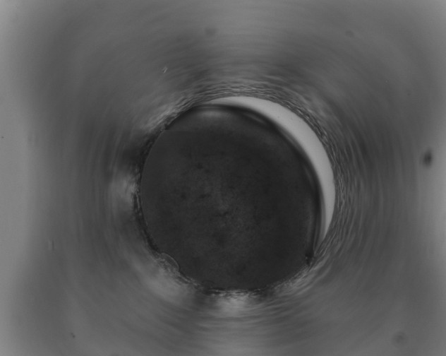 X0000090730235200707271410