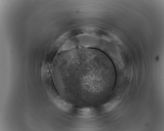 X0000090730237200707271410