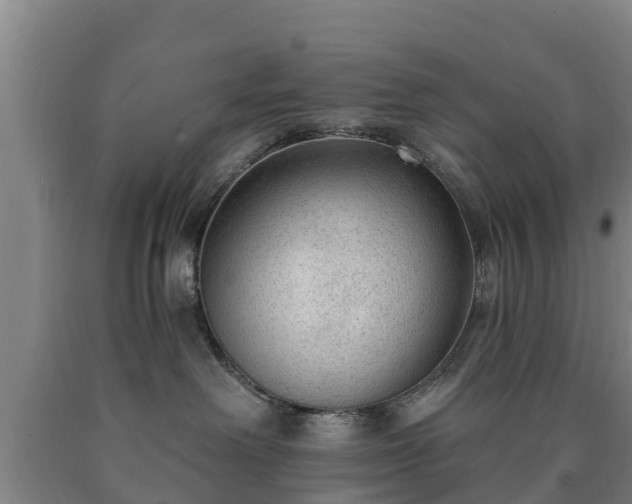 X0000090730238200707271410