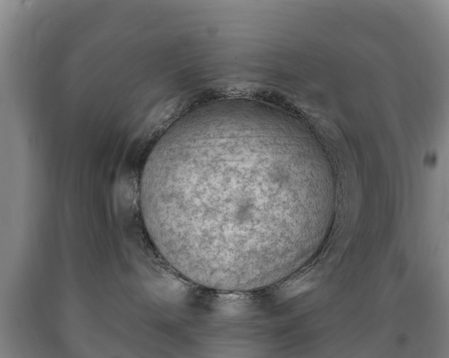 X0000090730240200707271410