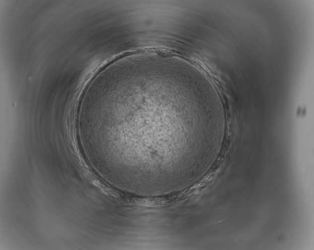 X0000090730241200707271410