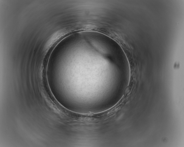 X0000090730242200707271410