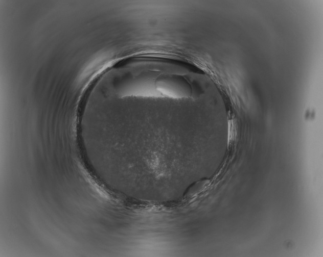 X0000090730243200707271410