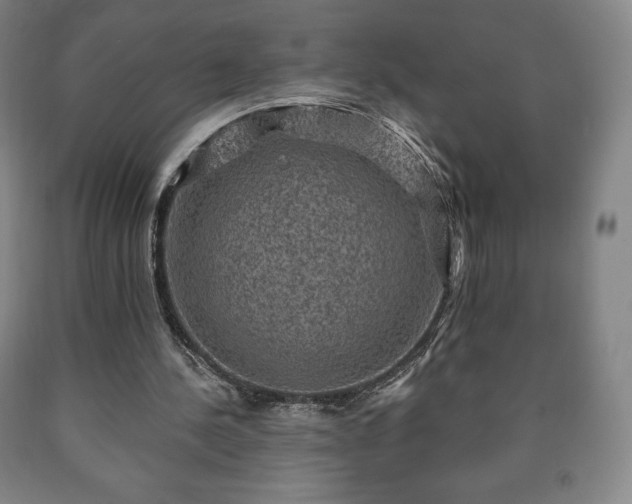 X0000090730244200707271410