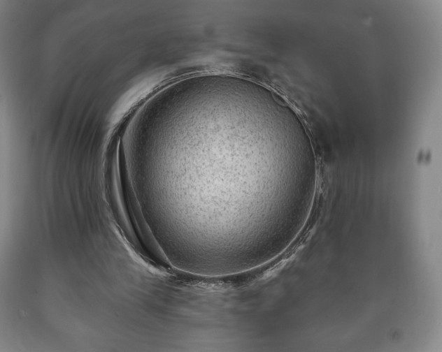X0000090730245200707271410