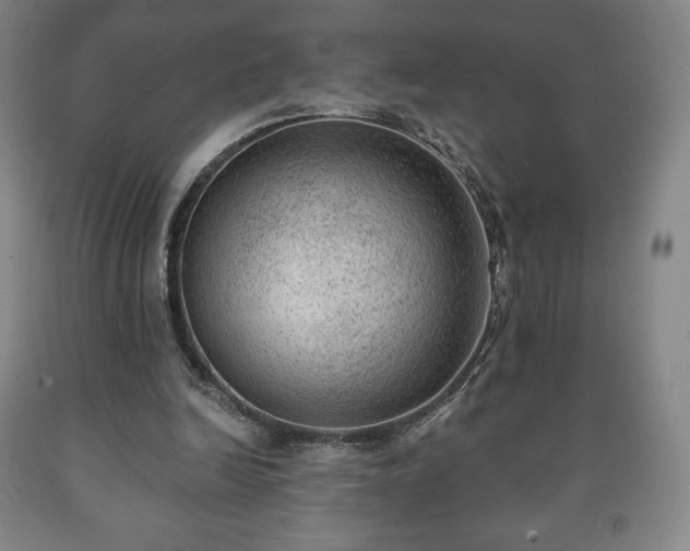 X0000090730246200707271410