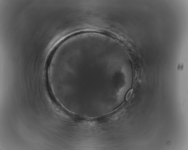 X0000090730247200707271410