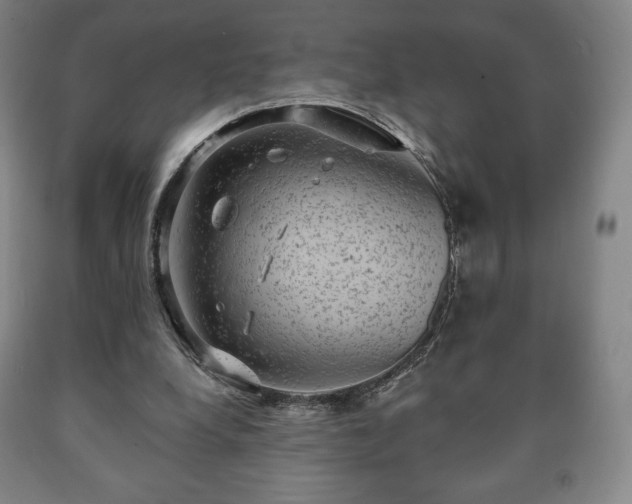 X0000090730248200707271410