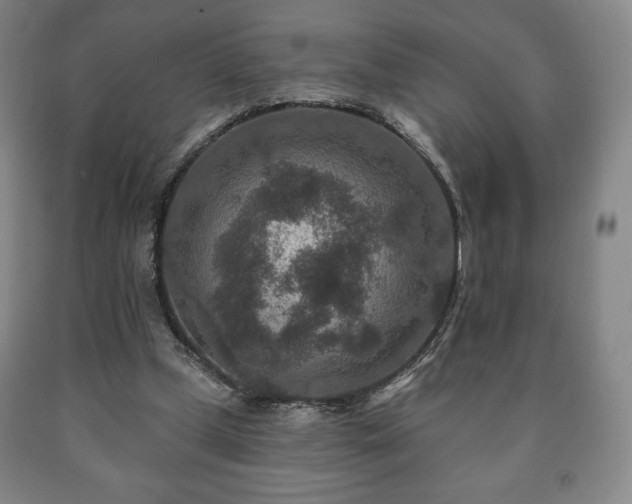 X0000090730249200707271410