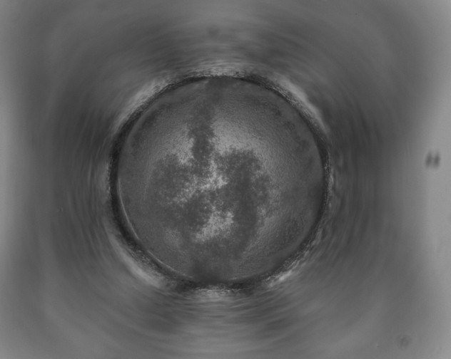X0000090730250200707271410