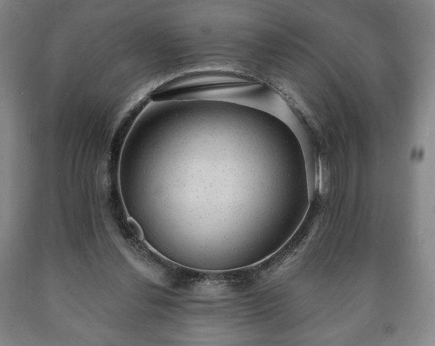 X0000090730252200707271410