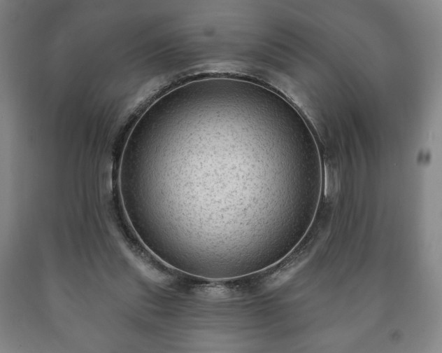 X0000090730253200707271410