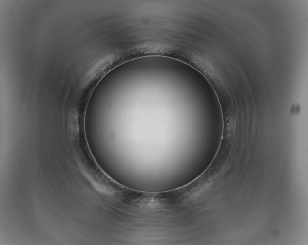 X0000090730254200707271410