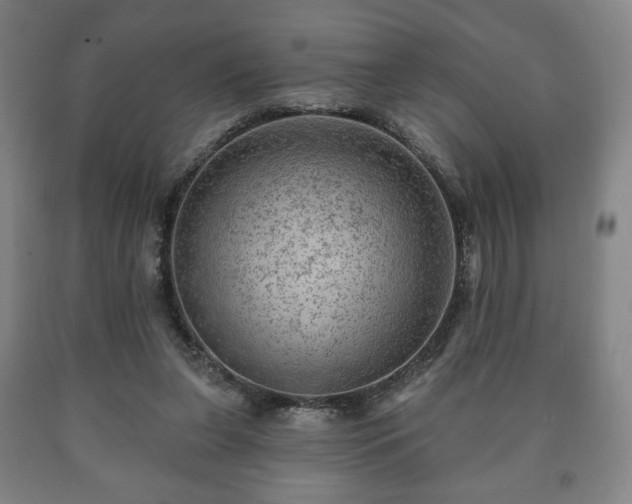 X0000090730255200707271410