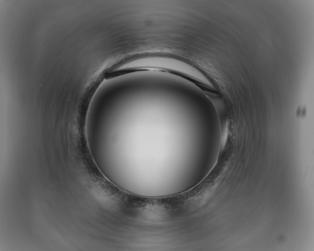 X0000090730256200707271410