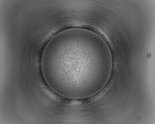 X0000090730257200707271410