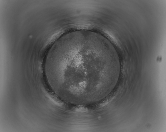 X0000090730258200707271410