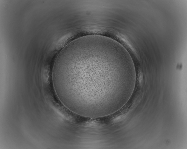 X0000090730259200707271410