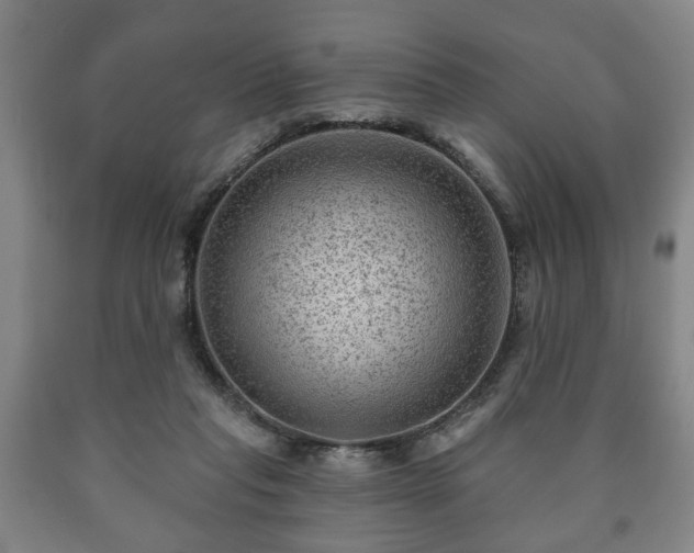 X0000090730261200707271410