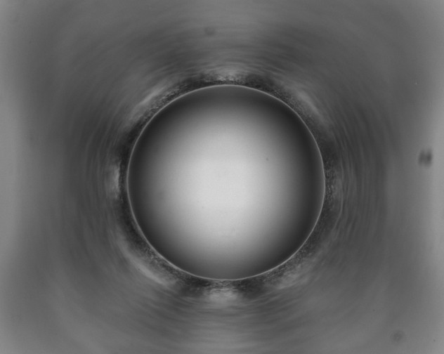 X0000090730262200707271410