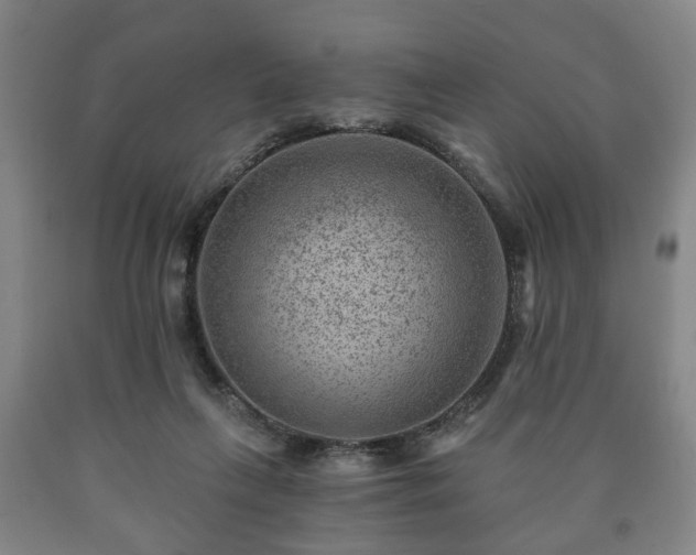 X0000090730263200707271410