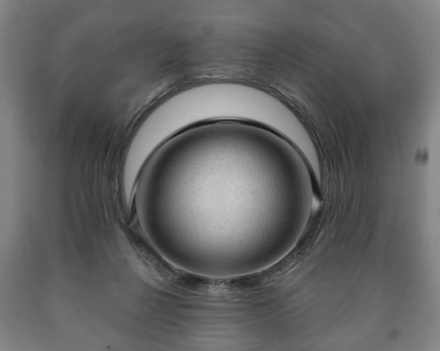 X0000090730264200707271410