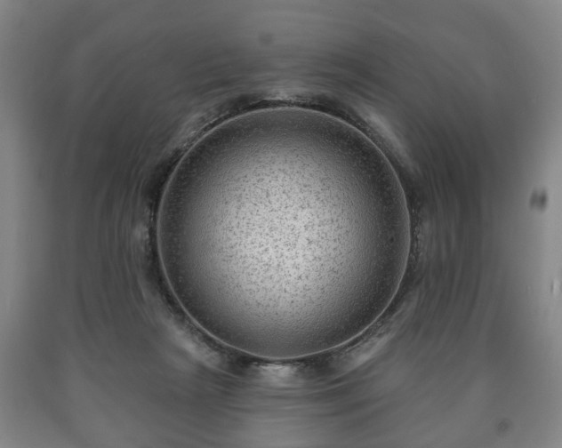 X0000090730265200707271410