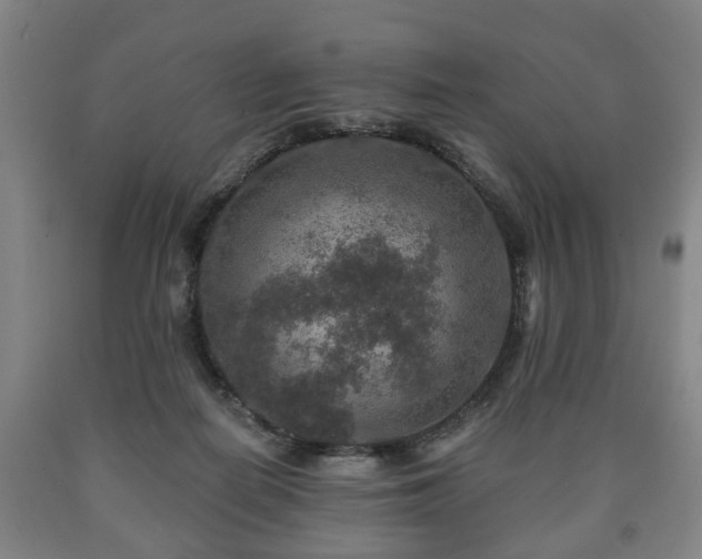 X0000090730266200707271410