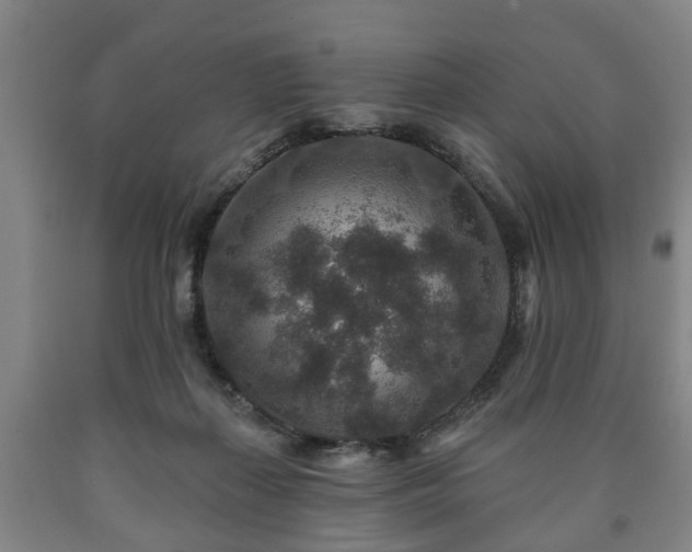 X0000090730267200707271410
