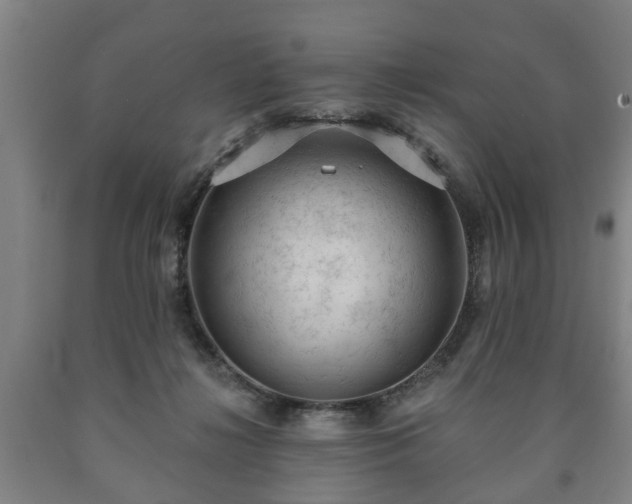 X0000090730268200707271410