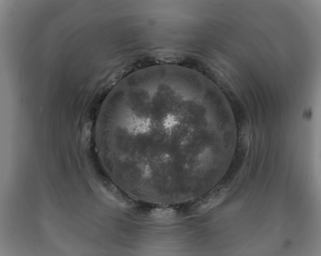 X0000090730271200707271410