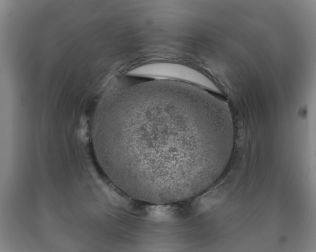 X0000090730273200707271410