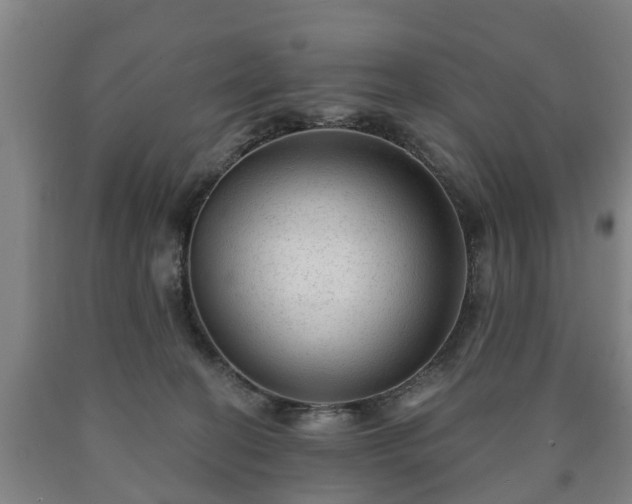 X0000090730274200707271410
