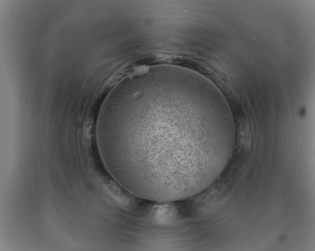 X0000090730275200707271410