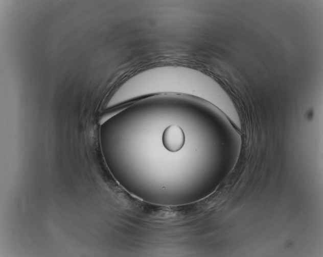 X0000090730276200707271410