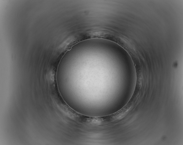 X0000090730282200707271410