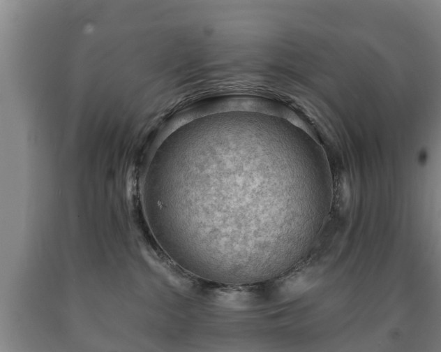 X0000090730284200707271410