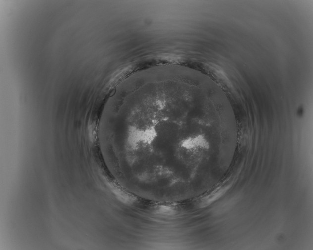 X0000090730285200707271410